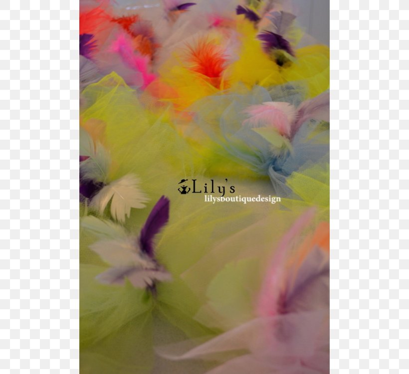 Close-up, PNG, 750x750px, Closeup, Feather, Flower, Petal, Yellow Download Free