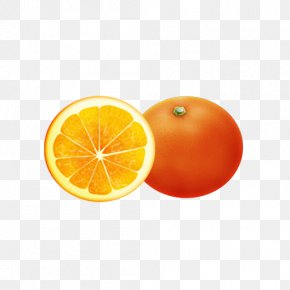 Orange - Clementine Mandarin Orange Tangerine Blood Orange PNG