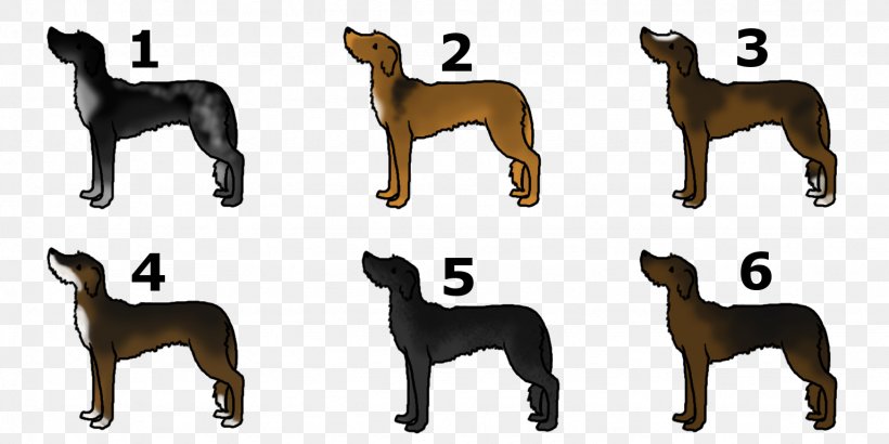 Dog Breed Wildlife Tail, PNG, 1536x768px, Dog Breed, Animal, Animal Figure, Breed, Carnivoran Download Free