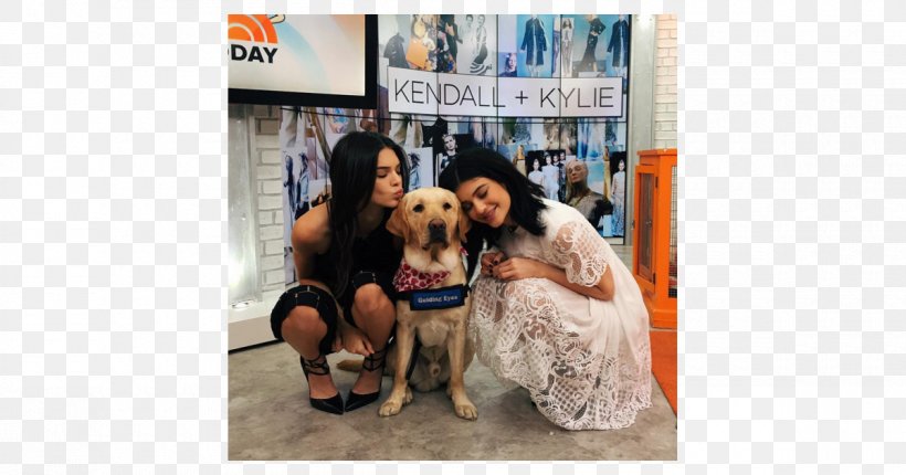 Kendall And Kylie Dog 3 Novembre 1995 Fashion, PNG, 1200x630px, Watercolor, Cartoon, Flower, Frame, Heart Download Free