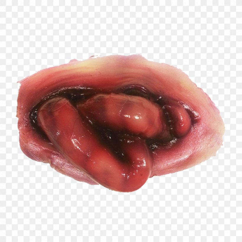 Small Intestine Prosthetic Makeup Special Effects Gastrointestinal Tract Lip, PNG, 1200x1200px, Watercolor, Cartoon, Flower, Frame, Heart Download Free