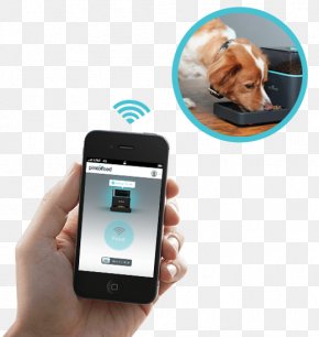 Smartphone - Smartphone Animal Pet Dog PNG