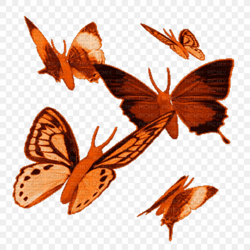 Butterfly Animation Clip Art, PNG, 1024x1024px, Butterfly, Animation, Arthropod, Brush Footed Butterfly, Computer Animation Download Free