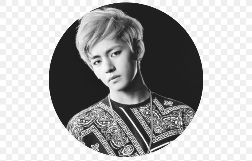Kim Taehyung No More Dream BTS N.O -Japanese Ver.- K-pop, PNG, 500x524px, Kim Taehyung, Beauty, Bighit Entertainment Co Ltd, Black And White, Blood Sweat Tears Download Free