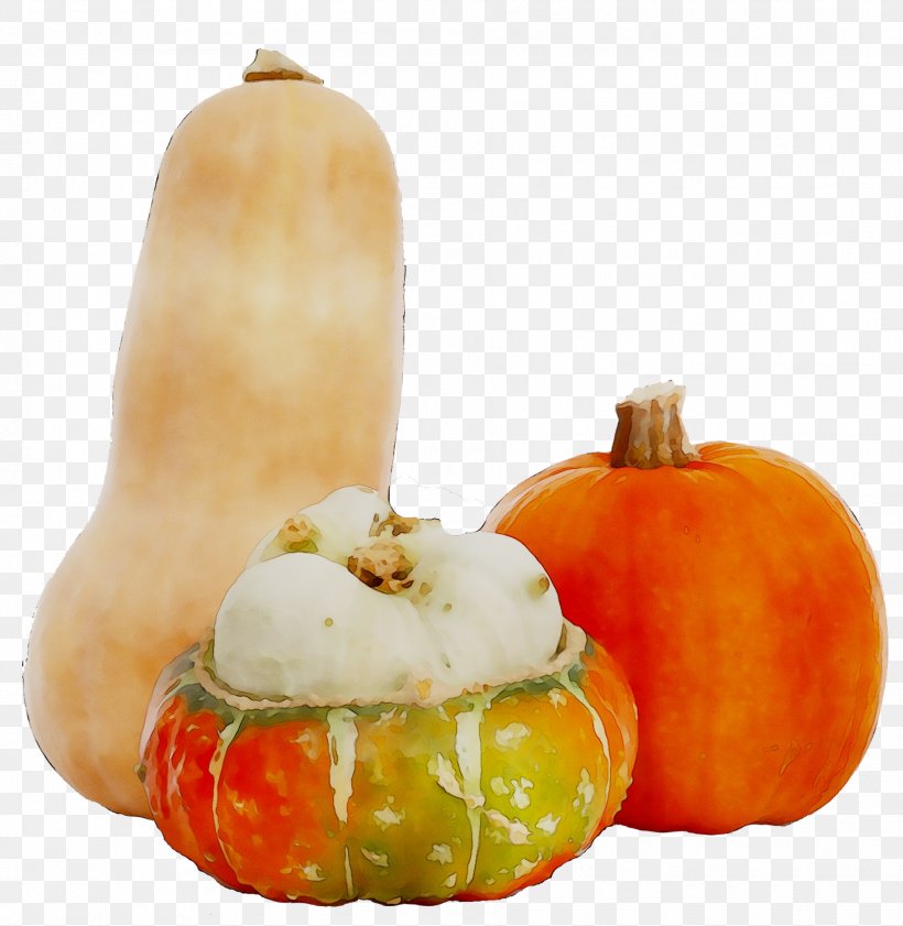 Pumpkin Gourd Calabaza Winter Squash Vegetarian Cuisine, PNG, 1874x1923px, Pumpkin, Calabaza, Cucumber Gourd And Melon Family, Cucurbita, Diet Download Free