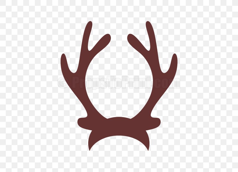 Reindeer Antler Horn Clip Art, PNG, 458x593px, Reindeer, Antler