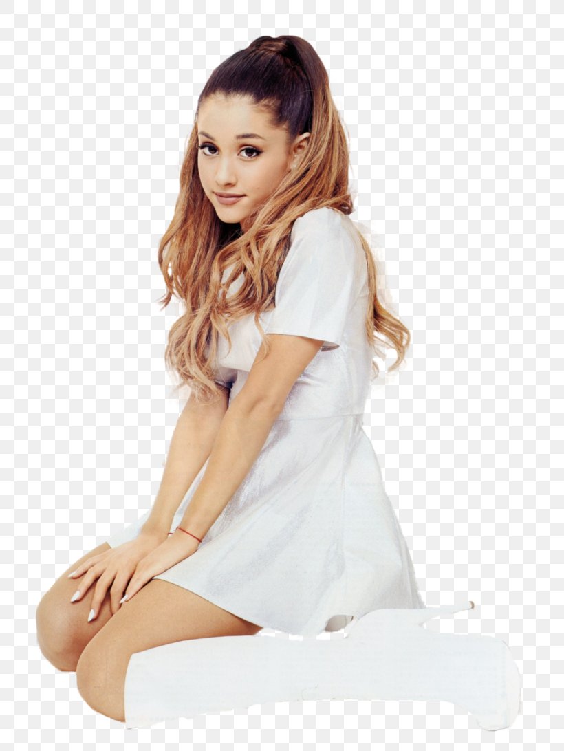 Ariana Grande Singer-songwriter Photography One Last Time, PNG, 731x1092px, Watercolor, Cartoon, Flower, Frame, Heart Download Free