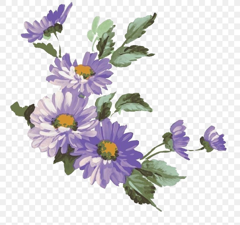 Chrysanthemum Flower Purple Common Daisy Illustration, PNG, 784x768px, Chrysanthemum, Annual Plant, Artificial Flower, Aster, Bud Download Free