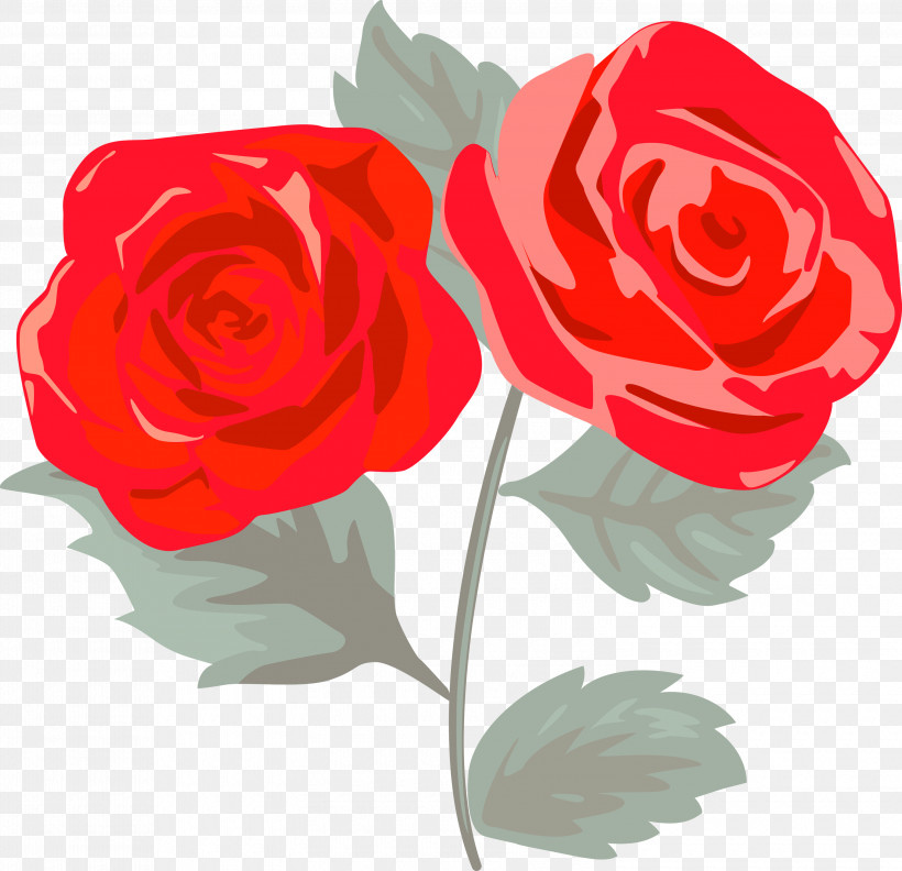 Garden Roses, PNG, 3000x2900px, Pink Rose, Cut Flowers, Floribunda, Flower, Garden Roses Download Free