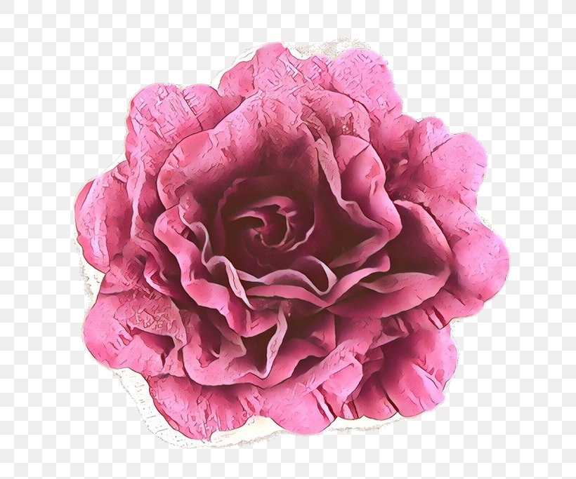 Garden Roses, PNG, 700x683px, Cartoon, Cut Flowers, Flower, Flowering Plant, Garden Roses Download Free