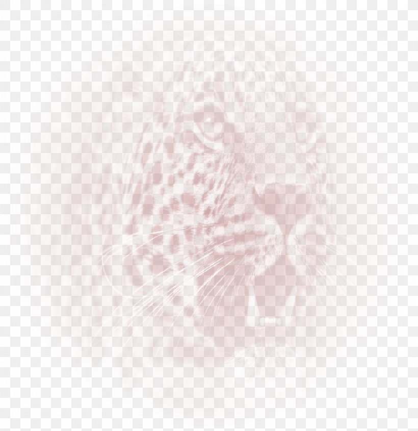 Lion Kruger National Park Tiger, PNG, 1000x1031px, Lion, Africa, Big Cats, Black And White, Carnivoran Download Free