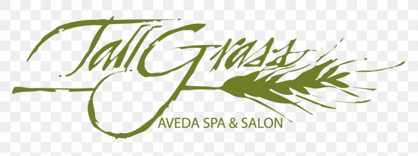 TallGrass Aveda Spa & Salon Day Spa Logo Beauty Parlour, PNG, 1200x450px, Day Spa, Beauty Parlour, Brand, Calligraphy, Colorado Download Free