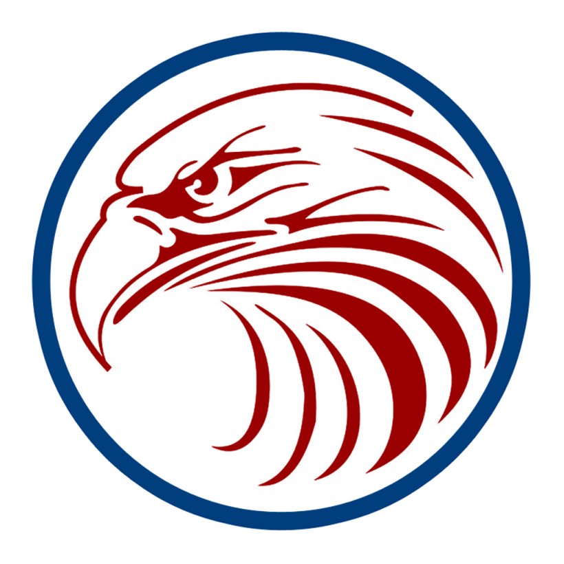 Bald Eagle Logo Clip Art, PNG, 1024x1024px, Bald Eagle, Area, Ball, Drawing, Eagle Download Free