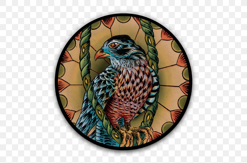 Beak Bird Of Prey Fauna Feather, PNG, 500x542px, Beak, Bird, Bird Of Prey, Fauna, Feather Download Free