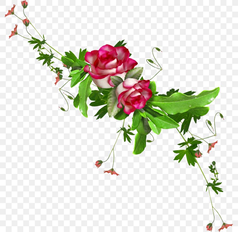 Blog Flower, PNG, 788x800px, Blog, Artificial Flower, Branch, Centerblog, Cut Flowers Download Free