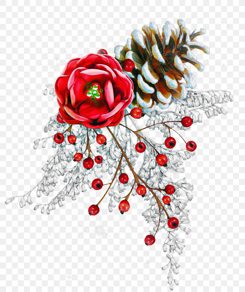 Floral Design, PNG, 800x979px, Floral Design, Christmas Day, Christmas Ornament, Christmas Ornament M, Flower Download Free