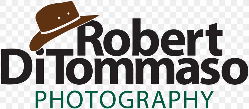 Rochester Robert DiTommaso Photography Logo Photographer Ray Chapman Motors Malton, PNG, 2526x1107px, Rochester, Area, Brand, Human Behavior, Logo Download Free