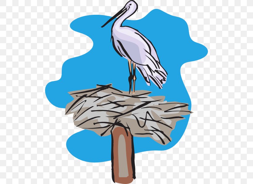 Bird Pelican Clip Art, PNG, 528x598px, Bird, Artwork, Beak, Bird Nest, Ciconiiformes Download Free