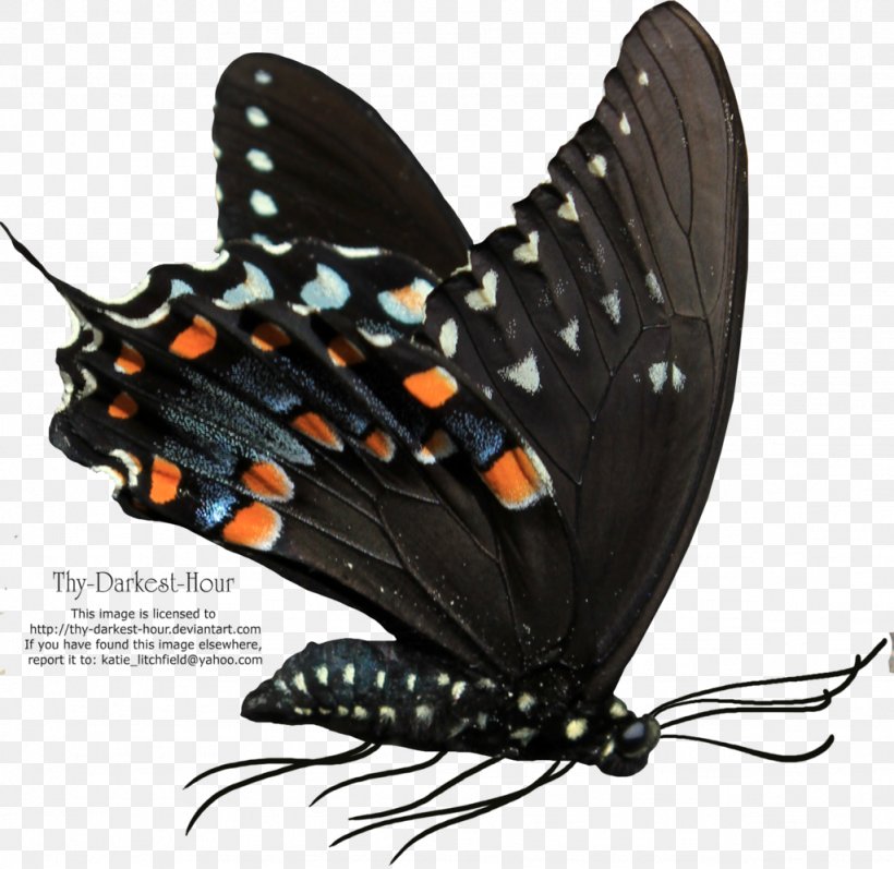 Butterfly Net Clip Art, PNG, 1024x996px, Butterfly, Arthropod, Brush Footed Butterfly, Butterfly Net, Deviantart Download Free