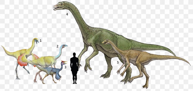 Deinocheirus Pelecanimimus Gallimimus Ornithomimus Alxasaurus, PNG, 1042x495px, Deinocheirus, Alxasaurus, Animal, Animal Figure, Dinosaur Download Free
