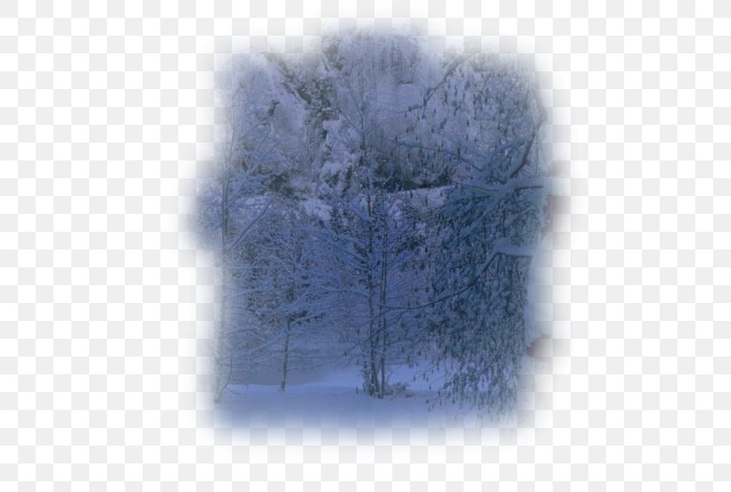 Desktop Wallpaper Tree Winter Computer Sky Plc, PNG, 535x552px, Tree, Blue, Computer, Freezing, Frost Download Free