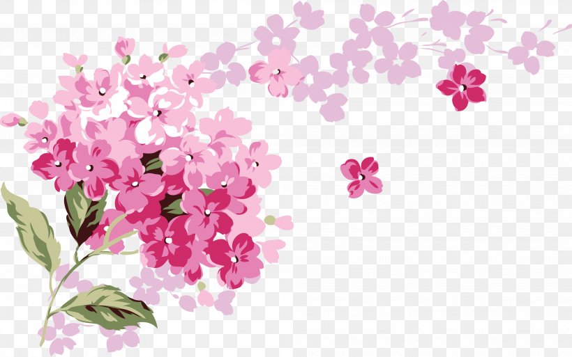 Flower, PNG, 3992x2500px, Flower, Blossom, Branch, Cherry Blossom, Color Download Free