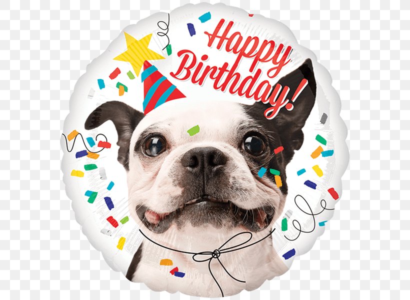 Mylar Balloon Balloon Dog Birthday, PNG, 600x600px, Balloon, Balloon Dog, Birthday, Bopet, Boston Terrier Download Free