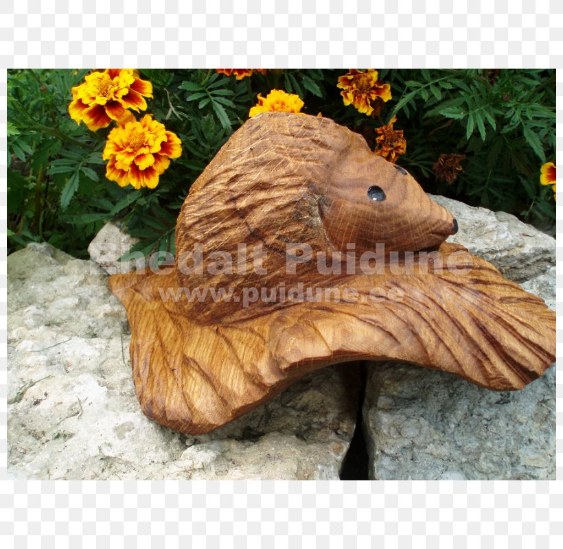 Chainsaw Carving Wood Carving Lawn Ornaments & Garden Sculptures /m/083vt, PNG, 800x800px, Chainsaw Carving, Chainsaw, Lawn Ornament, Lawn Ornaments Garden Sculptures, Wood Download Free