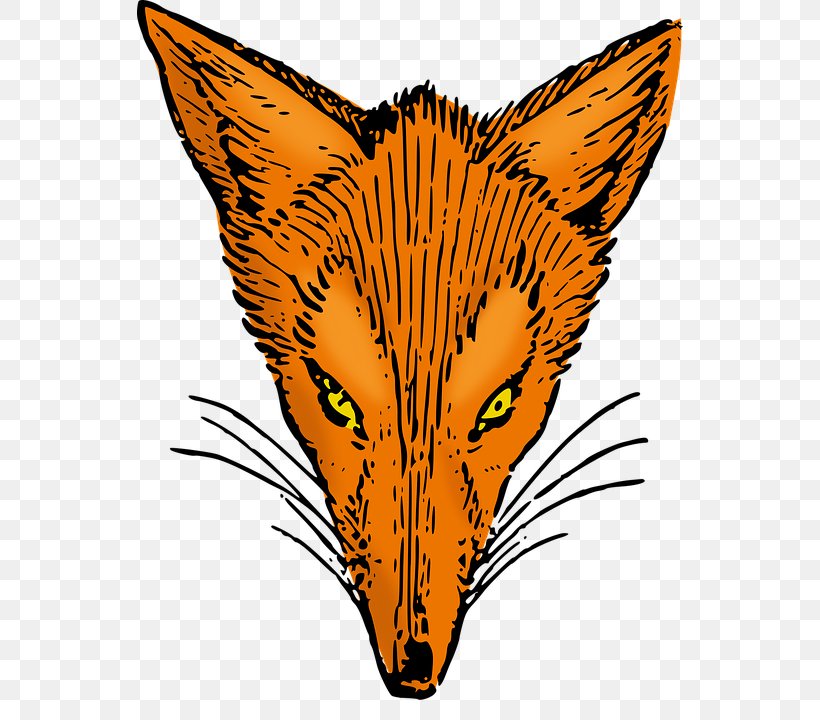 Red Fox Whiskers Clip Art, PNG, 546x720px, Red Fox, Animal, Carnivoran, Cat, Cat Like Mammal Download Free
