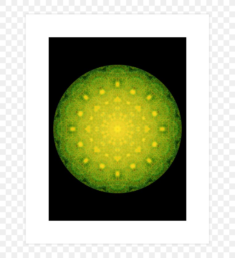 Sphere Organism, PNG, 740x900px, Sphere, Green, Organism Download Free