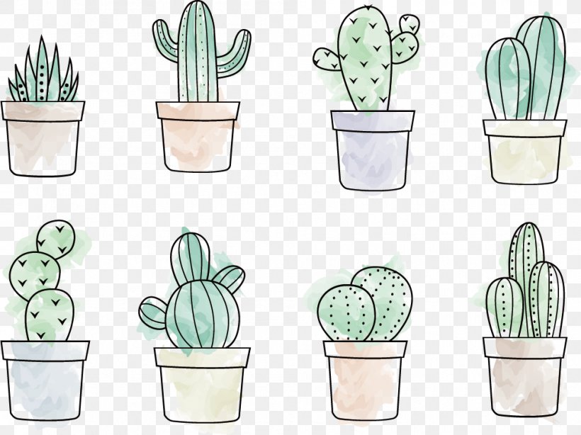 Cactaceae Drawing Painting, PNG, 1001x750px, Cactaceae, Art, Cactus, Caryophyllales, Drawing Download Free