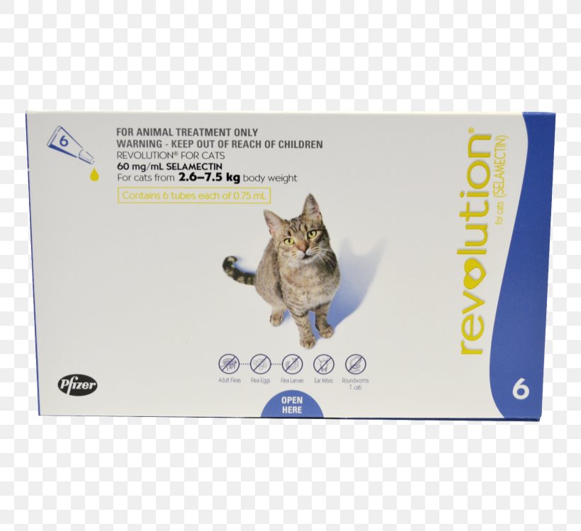 Cat Felidae Dog Selamectin Ear Mite, PNG, 750x750px, Cat, Cat Flea, Cat Like Mammal, Dog, Dog Like Mammal Download Free