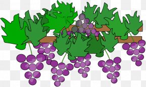 Grape Leaf Cliparts - Common Grape Vine Wine Clip Art PNG