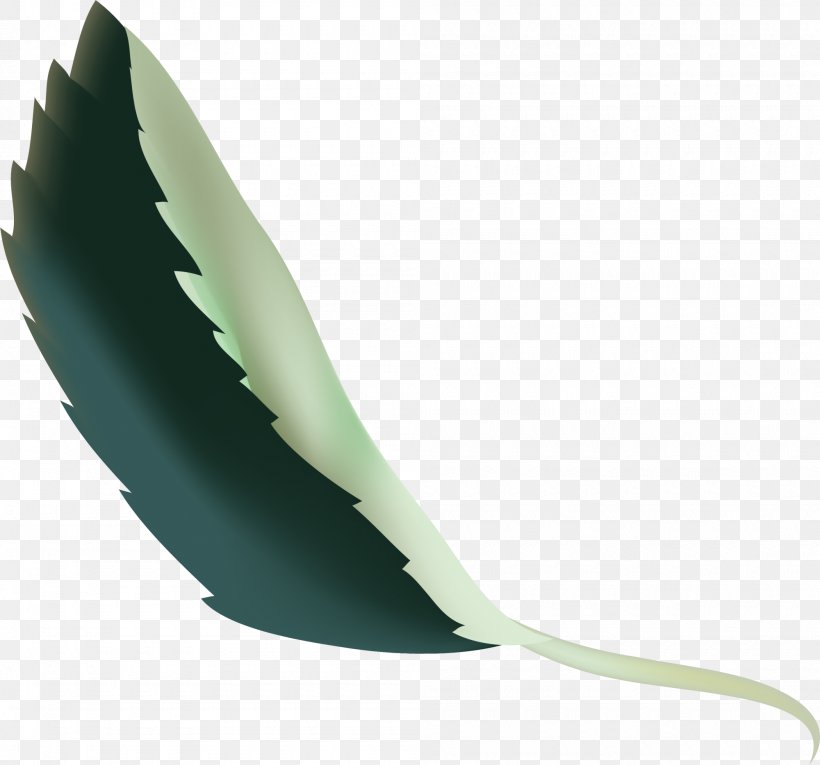 Green Angle Feather, PNG, 2000x1867px, Green, Feather Download Free