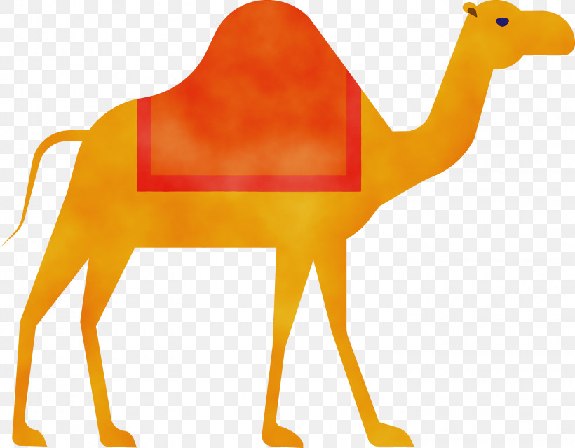 Orange, PNG, 3000x2345px, Camel, Animal Figure, Arabian Camel, Arabic Culture, Bactrian Camel Download Free