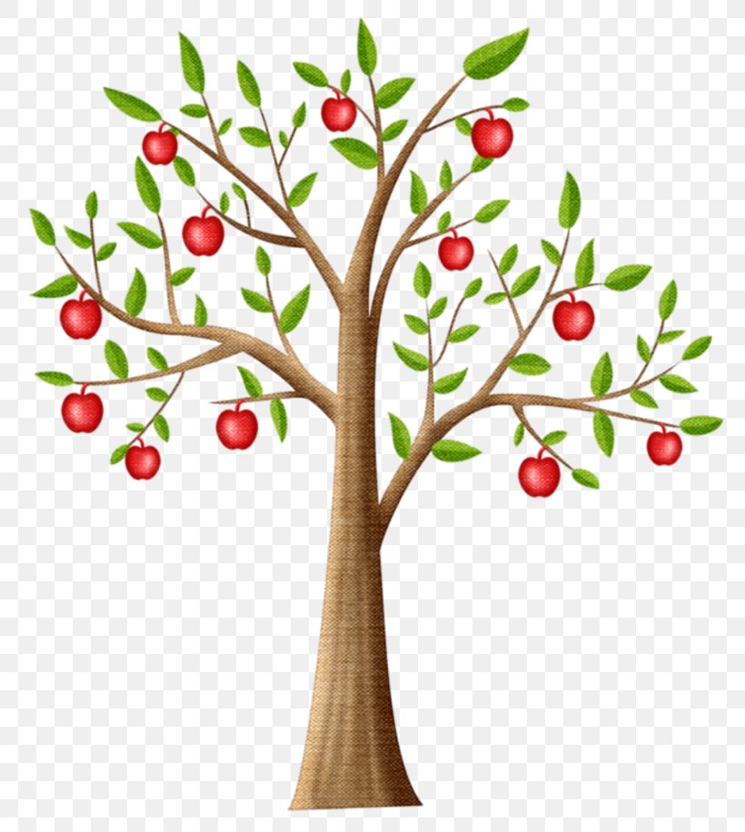 Fruit Tree Color Drawing Branch  Colour Clip Art Of A Tree  Free  Transparent PNG Clipart Images Download
