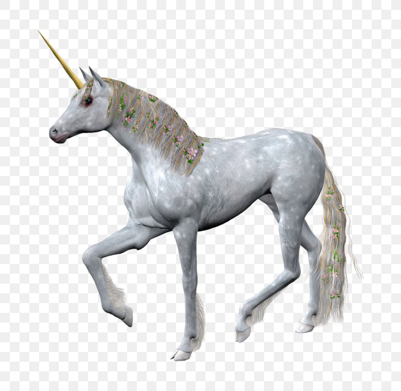 Unicorn Horn Sculpture Unicorn Horn Poster, PNG, 800x800px, Unicorn, Colt, Figurine, Foal, Horn Download Free