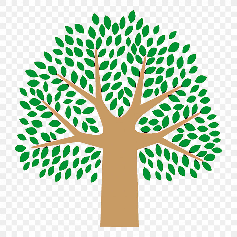 Green Leaf Tree Line Plant, PNG, 1200x1200px, Broadleaf Tree, Cartoon Tree, Green, Leaf, Line Download Free