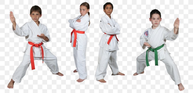 Dobok Karate Taekwondo Organization Artes Marciales Extremas, PNG, 773x396px, Watercolor, Cartoon, Flower, Frame, Heart Download Free