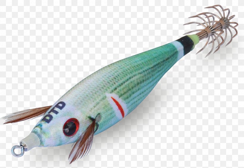 Squid Fishing Baits & Lures Poteira Recreational Fishing, PNG, 1160x798px, Squid, Animal Source Foods, Bait, Cephalopod, Cuttlefish Download Free