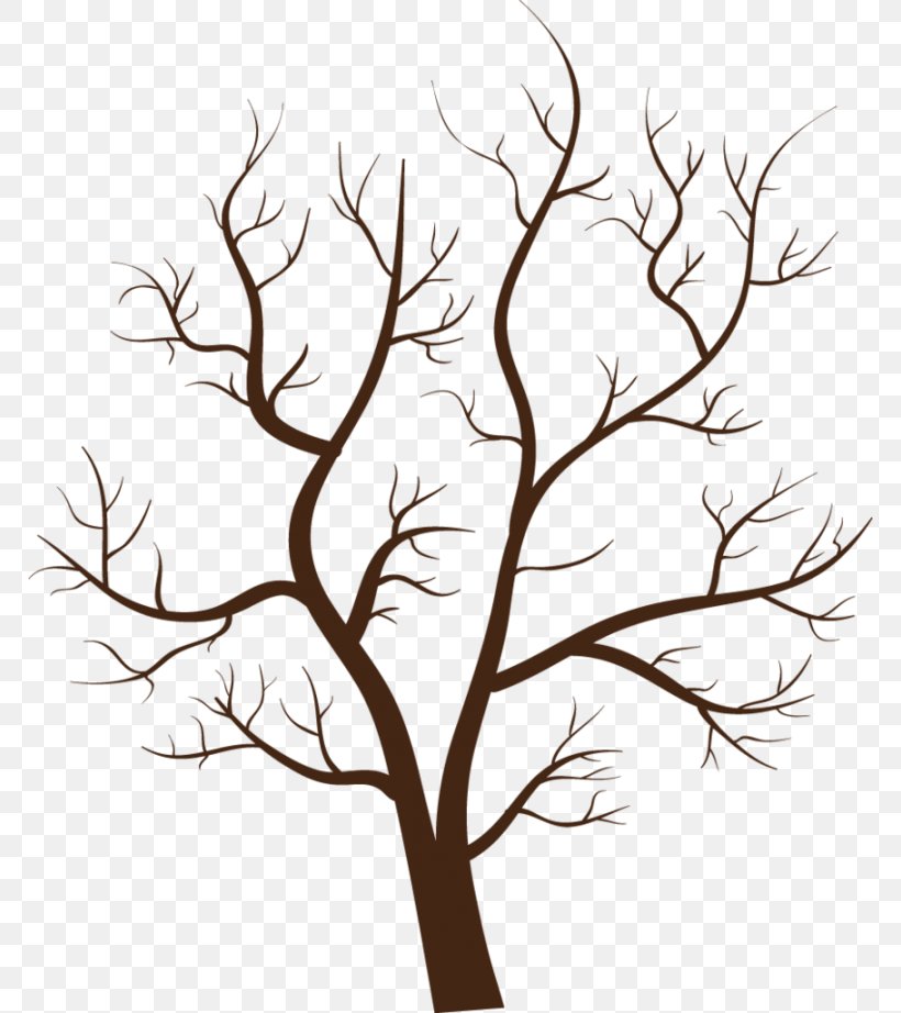 Clip Art Tree Branch Image, PNG, 768x922px, Tree, Artwork, Black And White, Branch, Conifers Download Free