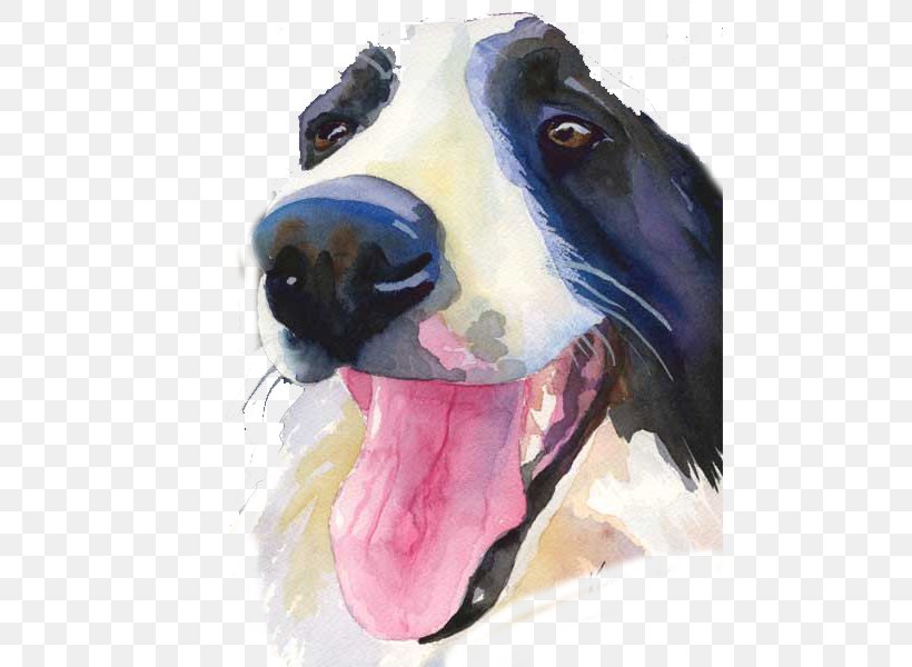Border Collie Boston Terrier Labrador Retriever Rough Collie Puppy, PNG, 480x600px, Watercolor, Cartoon, Flower, Frame, Heart Download Free