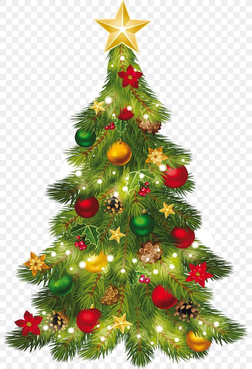 Christmas Tree Clip Art, PNG, 797x1200px, Christmas, Christmas Decoration, Christmas Ornament, Christmas Tree, Conifer Download Free