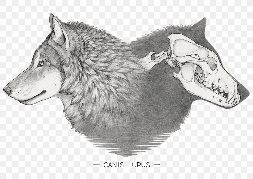 Dog Wolf Artist Hoodie, PNG, 3000x2121px, Dog, African Wild Dog, Animal, Art, Artist Download Free