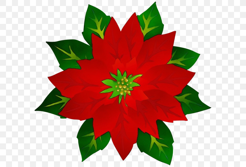 Holly, PNG, 600x559px, Watercolor, Flower, Holly, Leaf, Paint Download Free