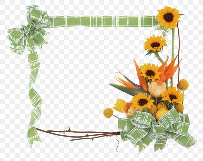 Picture Frames, PNG, 800x651px, Picture Frames, Common Sunflower, Cut Flowers, Daisy Family, Flora Download Free