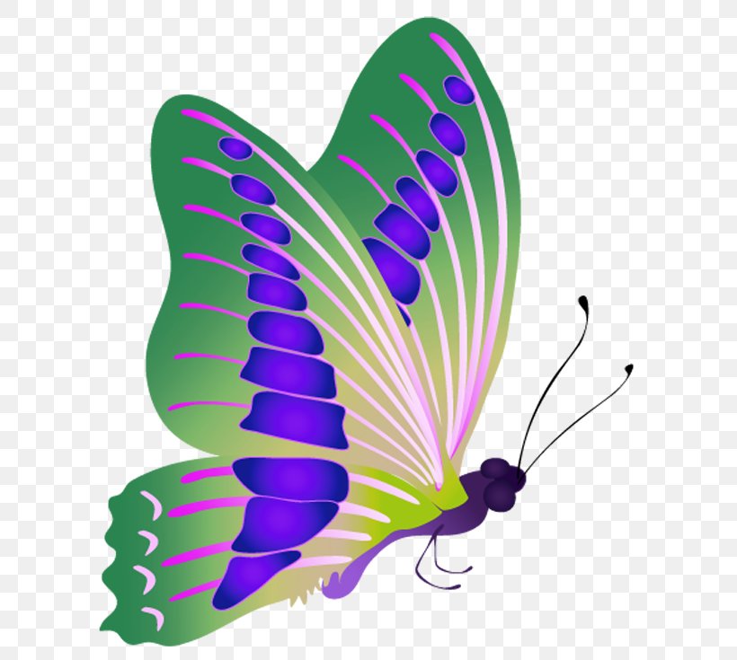 Purple, PNG, 630x735px, Purple, Butterfly, Insect, Invertebrate, Moths And Butterflies Download Free