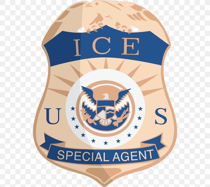U.S. Immigration And Customs Enforcement Special Agent Law Enforcement Agency U.S. Customs And Border Protection, PNG, 564x730px, Special Agent, Badge, Brand, Customs, Government Agency Download Free