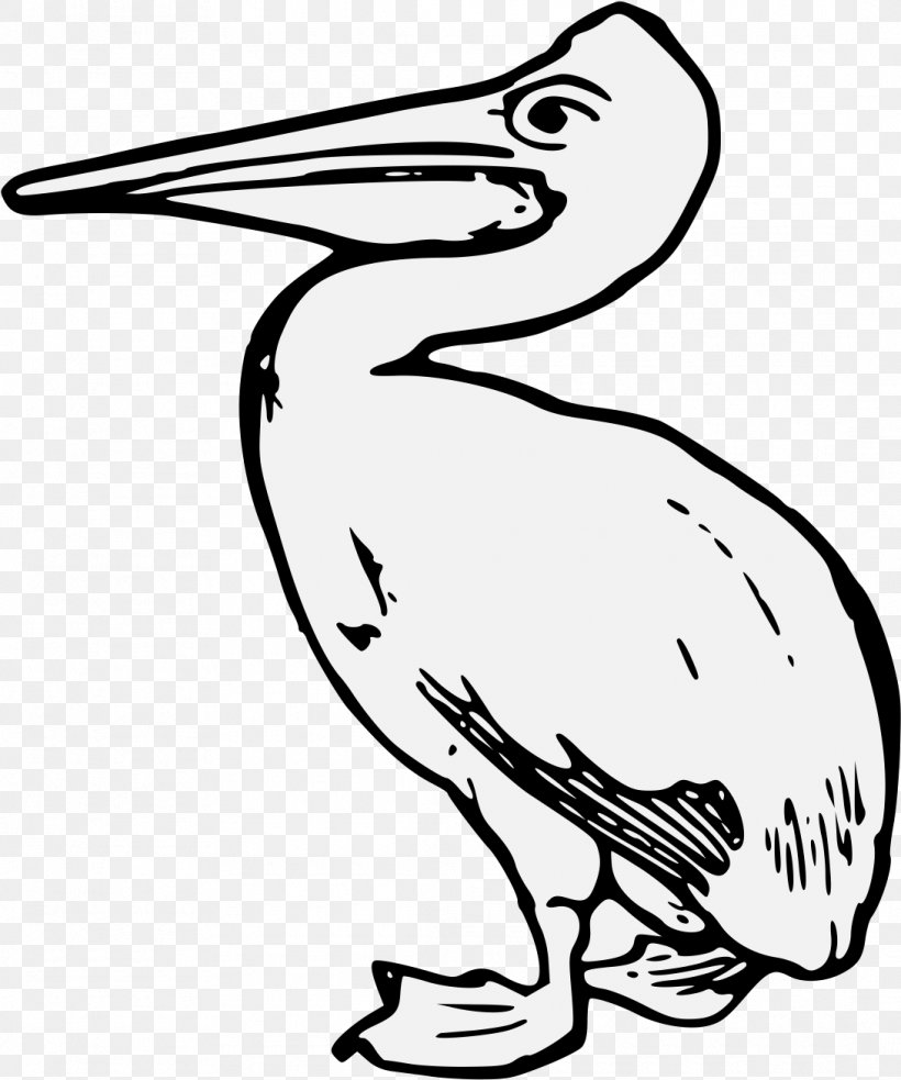 Bird Pelican Beak Pelecaniformes Line Art, PNG, 1090x1307px, Bird, Beak, Brown Pelican, Coloring Book, Line Art Download Free