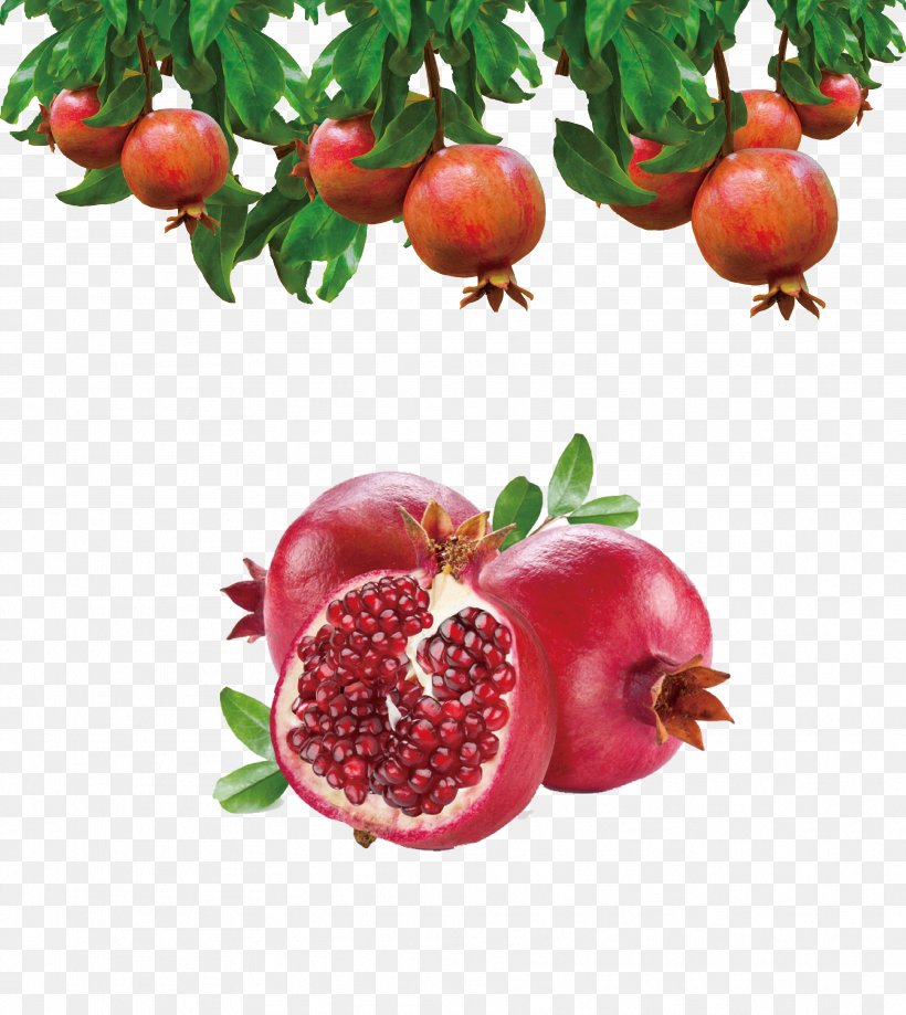 Granada Pomegranate Juice Fruit Food, PNG, 3543x3972px, Granada, Accessory Fruit, Acerola, Alimento Saludable, Antioxidant Download Free